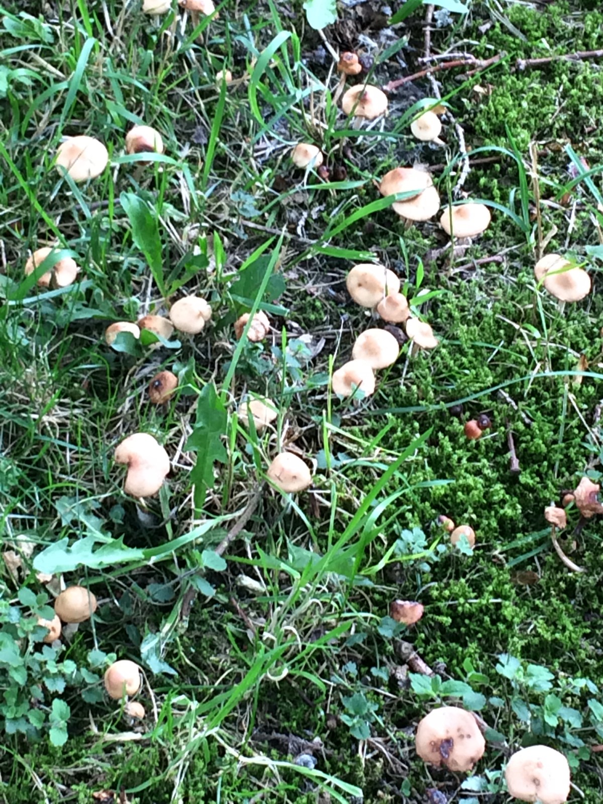 Discovery walk – Aug&nbsp;2019