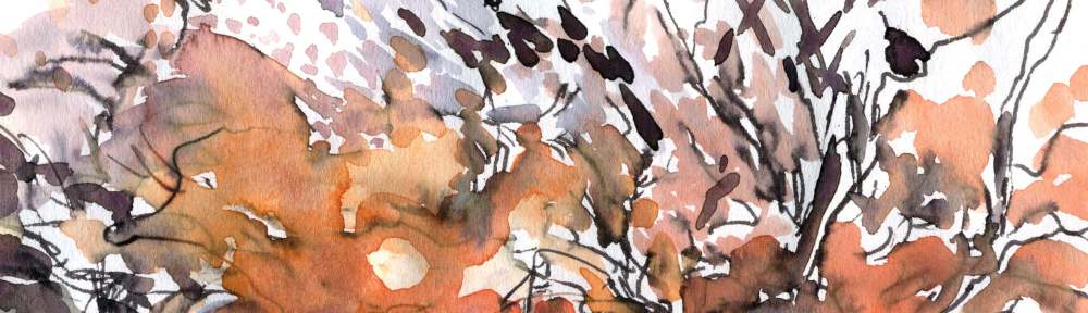 Frosty sunrise - Watercolour, Maxine Dodd