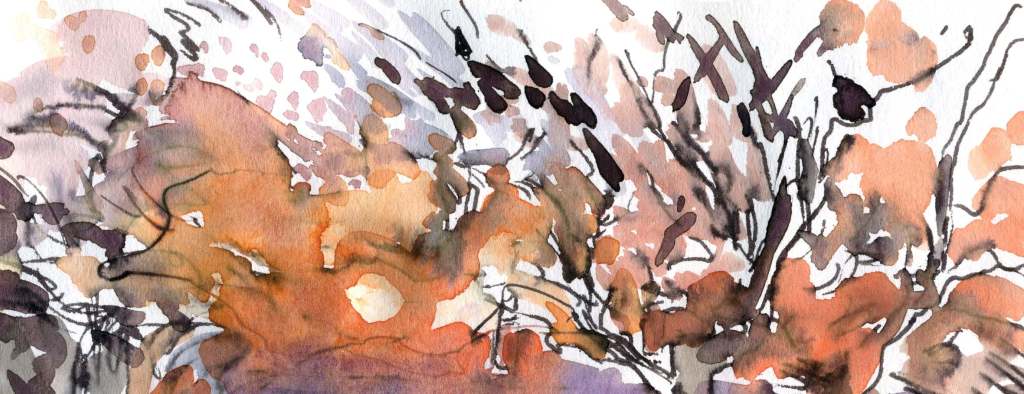 Frosty sunrise - Watercolour, Maxine Dodd