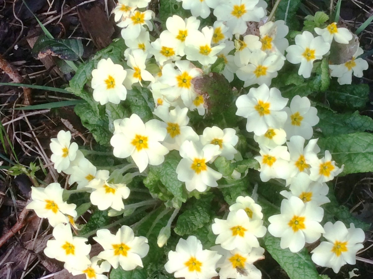 How wonderful that Spring is here but what does it mean to&nbsp;you?