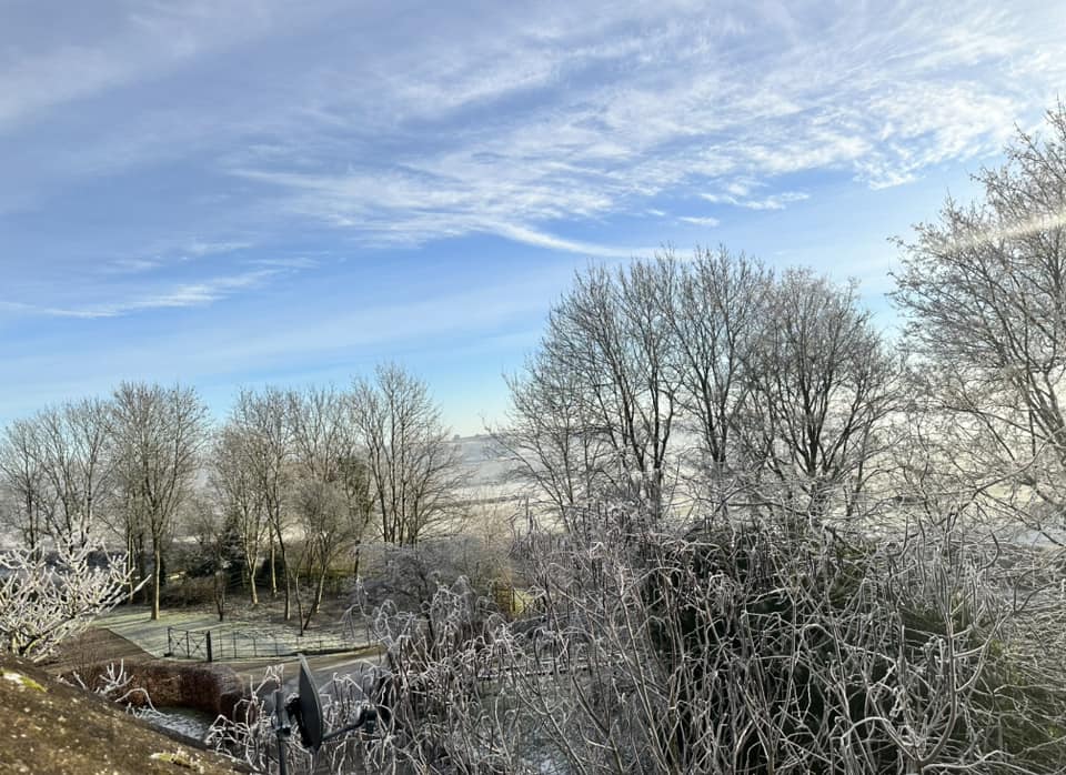 Blue sky over the allotments, Johanna Kirk