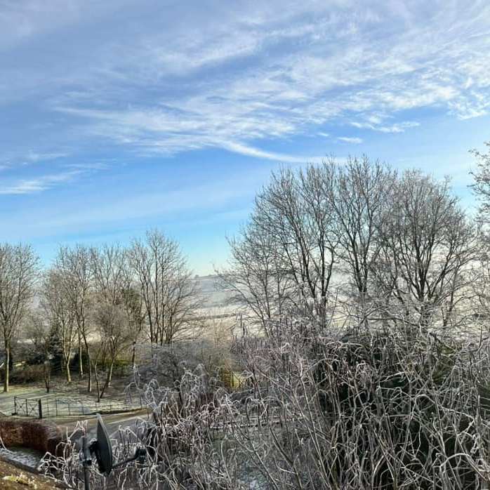 Blue sky over the allotments, Johanna Kirk