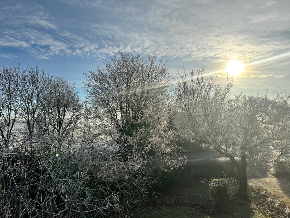 Blue sky with sun, over the allotments, Johanna Kirk