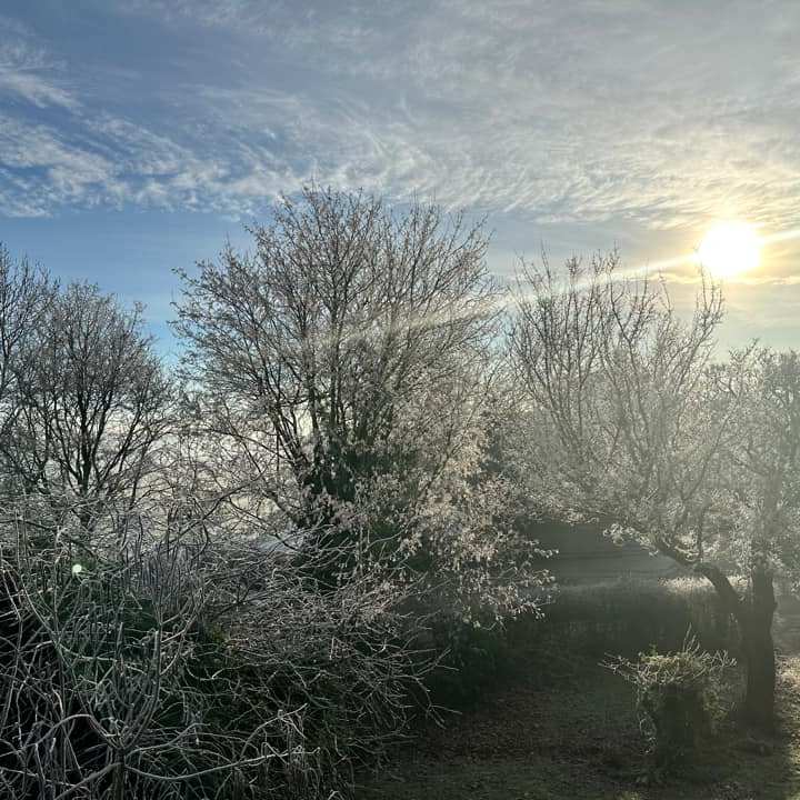 Blue sky with sun, over the allotments, Johanna Kirk
