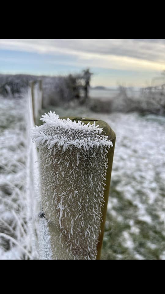 Frosty gatepost, Paul Lucas