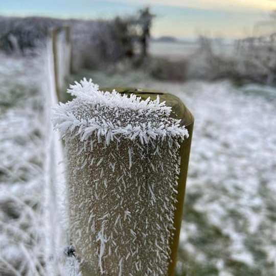 Frosty gatepost, Paul Lucas