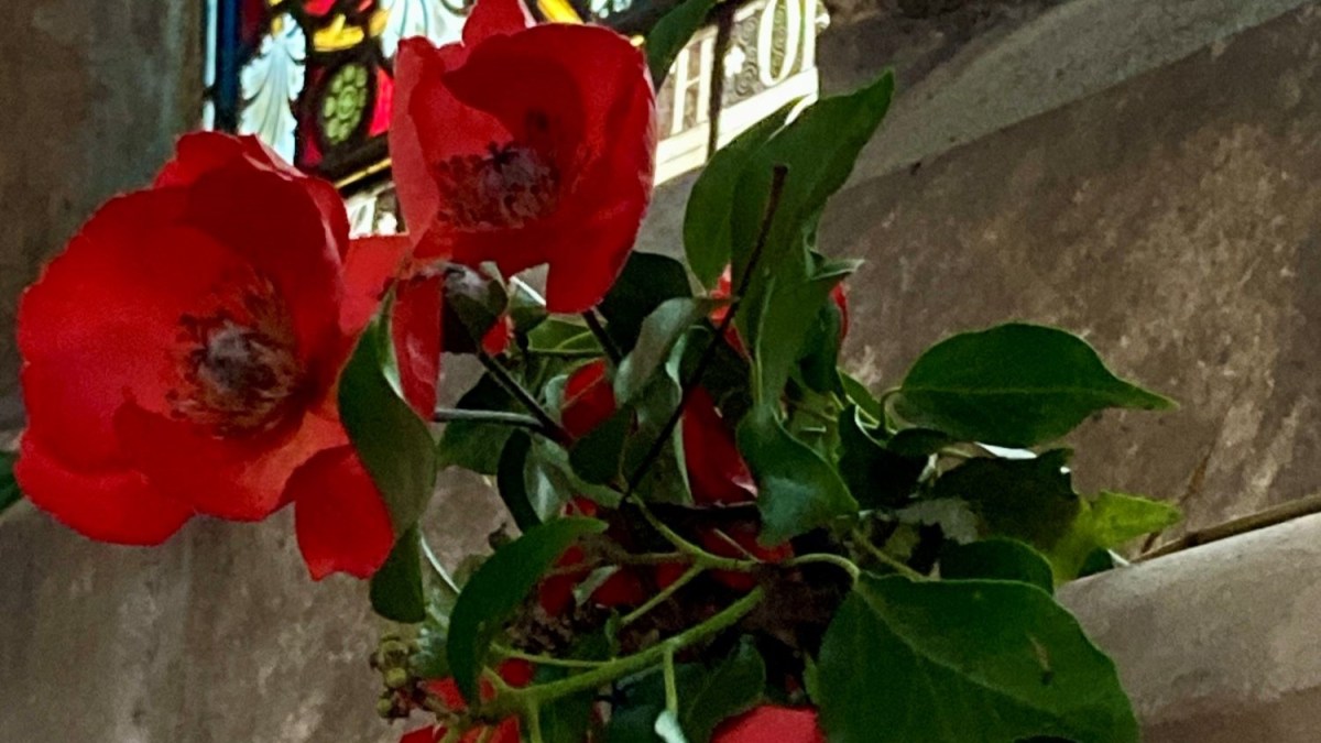 Remembrance Sunday 2025