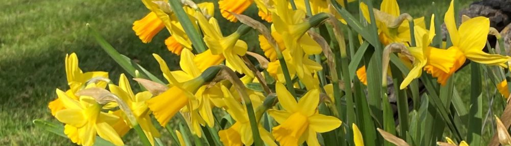 St Peter's Church, Church Langton