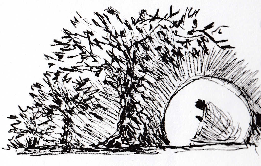 The Season of&nbsp;Lent