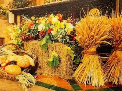 Harvest 2026