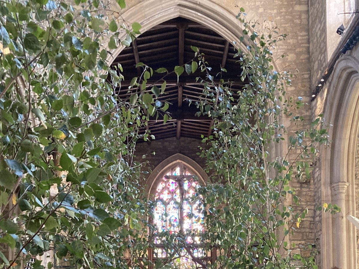 Harvest Service 2026