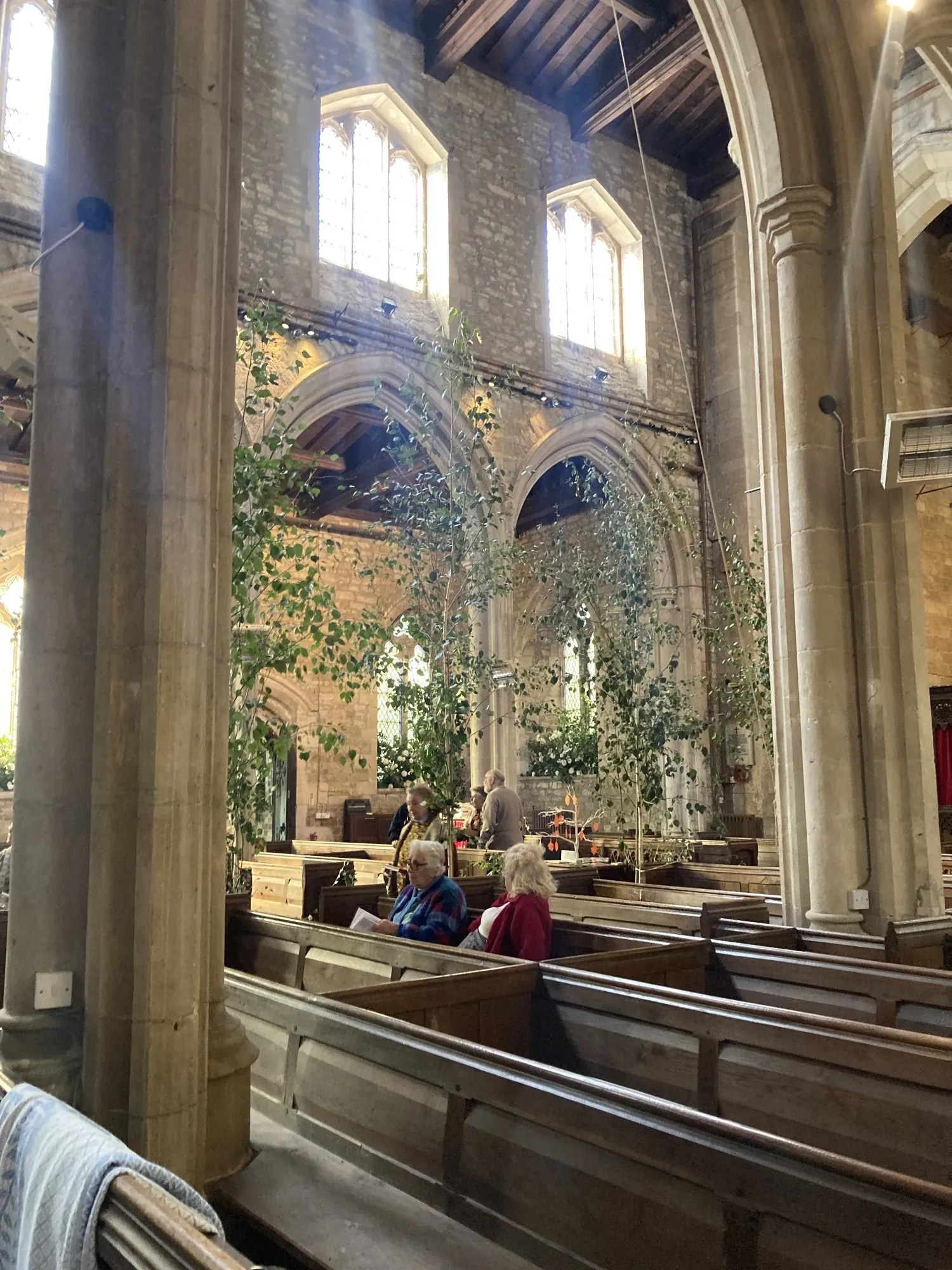 Silver birch trees in St Peter's Church for Harvest wedding. Photos copyright Maxine Dodd