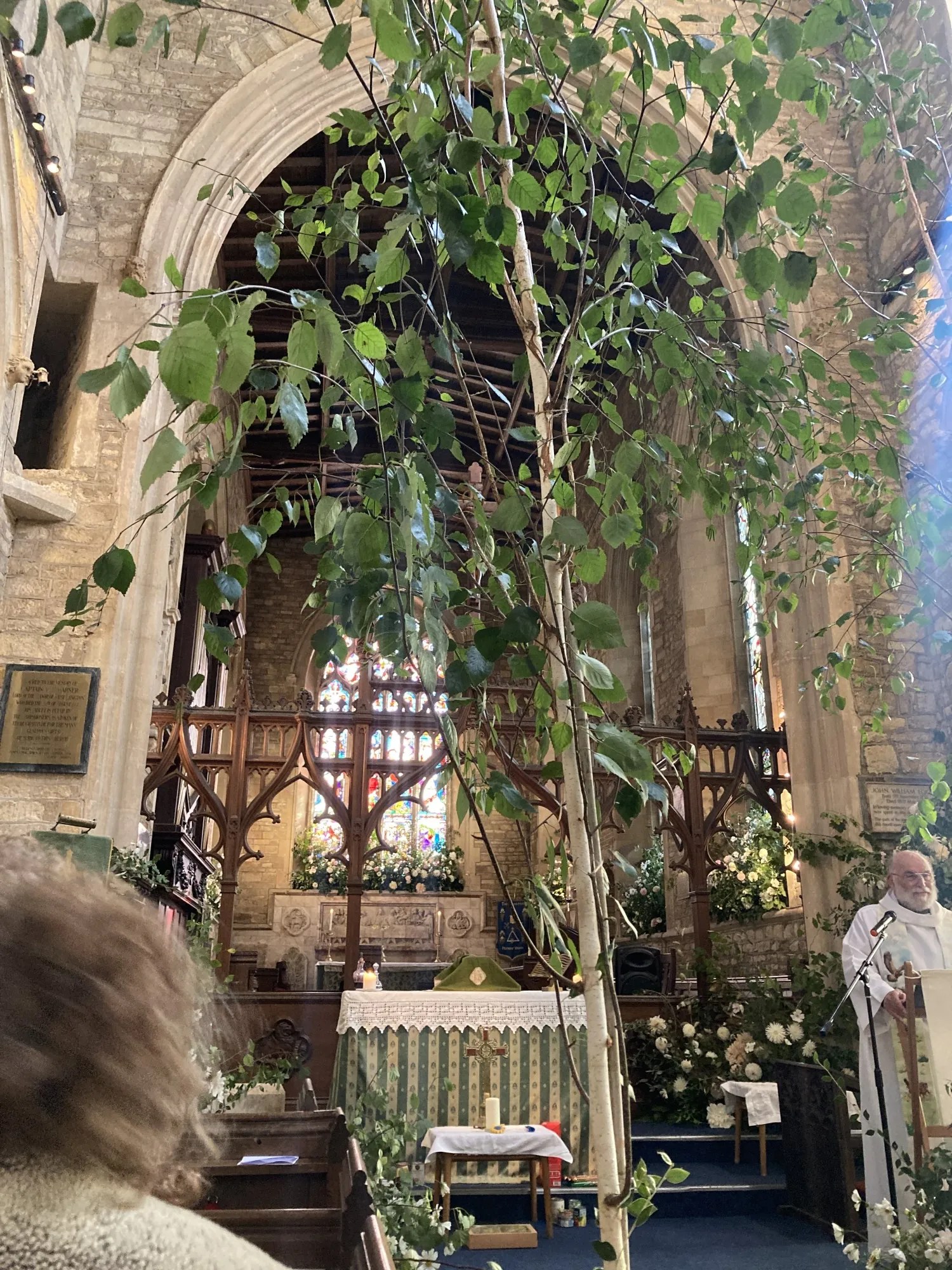 Silver birch trees in St Peter's Church for Harvest wedding. Photos copyright Maxine Dodd